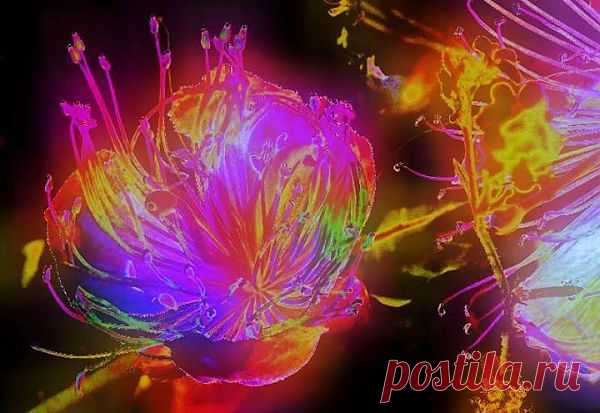 Fotos von 白玉泠s Beitrag in Art Gallery online | Facebook