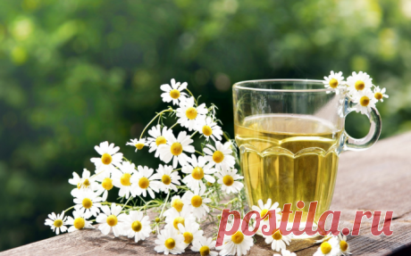 Ромашка для кишечника