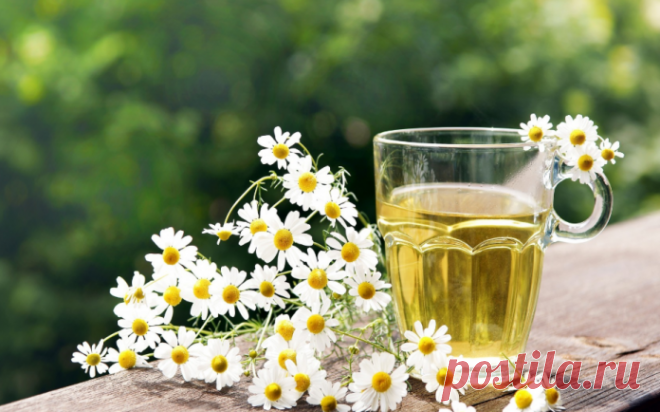 Ромашка для кишечника