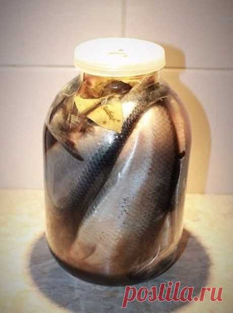 Одноклассники