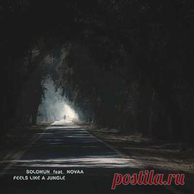 Solomun, NOVAA – Feels Like A Jungle