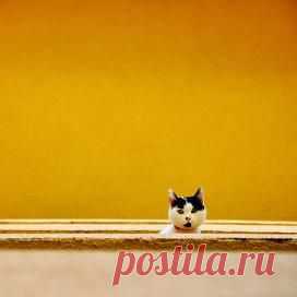 Рамблер