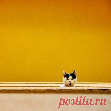 Рамблер