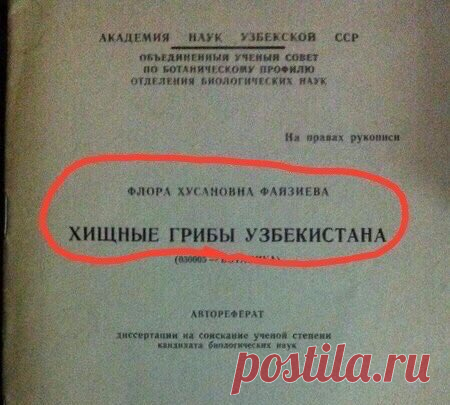Вижу рифмы (@StatusyOk) / Twitter