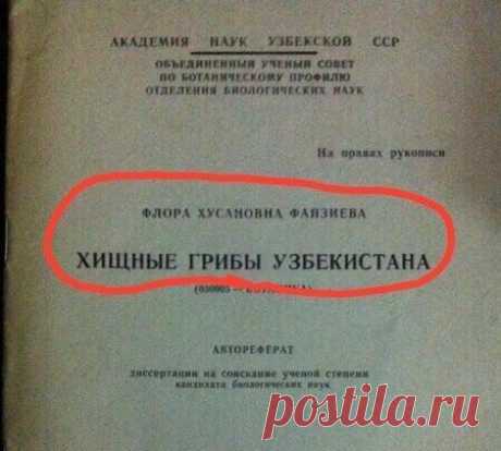 Вижу рифмы (@StatusyOk) / Twitter