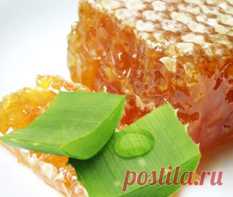 Алоэ с медом в народной медицине: рецепты как приготовить