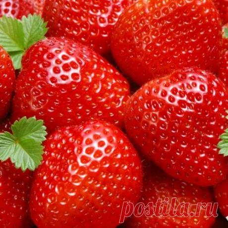 Уход за викторией (клубникой)