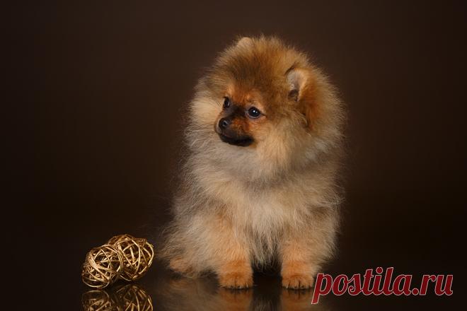 Оноре Де Бальзак