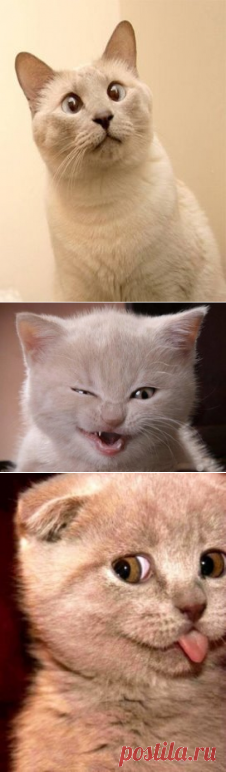 Одноклассники