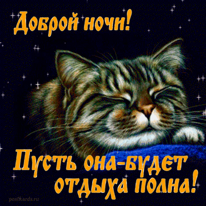 Доброй ночи я тебе желаю,
Спи сладко, мысли все прогнав,
Я сон твой чуткий охраняю,
Тревоги и печали все отогнав.