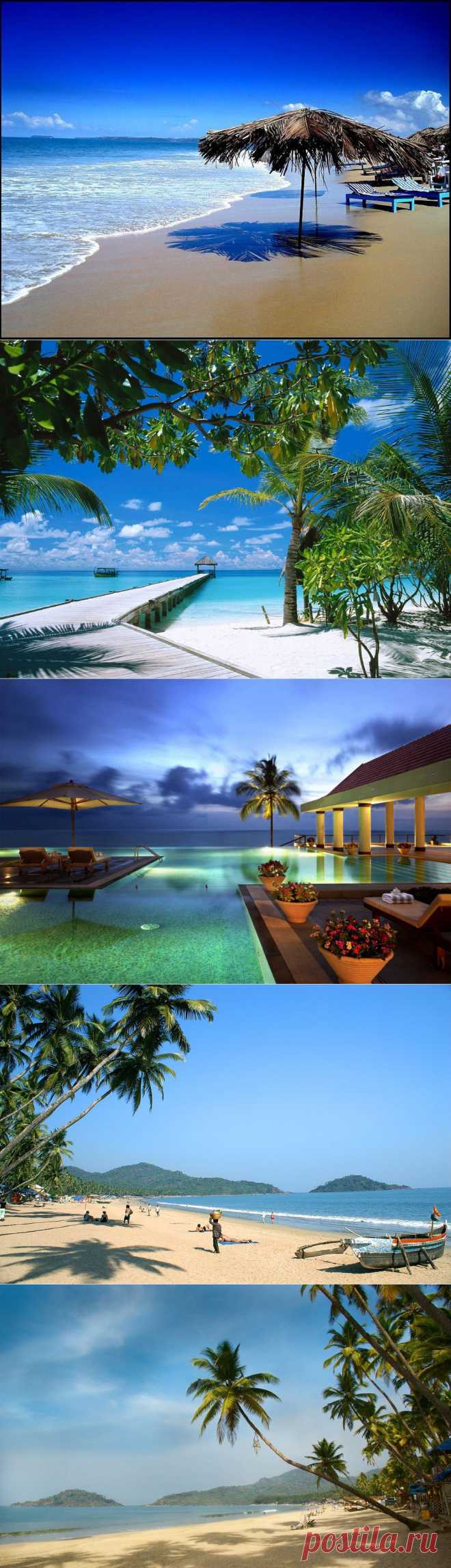 Посетите пляжи Гоа! Это просто незабываемо! | Newpix.ru - позитивный интернет-журнал