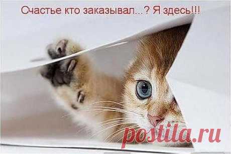 ВСЁ ЛУЧШЕЕ ИЗ YOU TUBE (16 плюс)
Елена Маркина