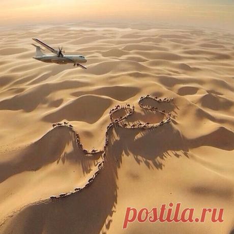 الصديق الحميم — moroccomaroc: Magical Morocco.
