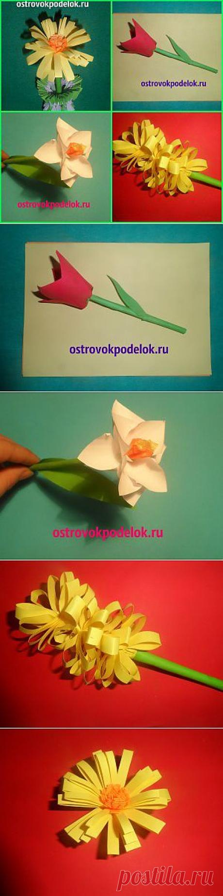 Цветы из цветной бумаги | ОСТРОВОК ПОДЕЛОК