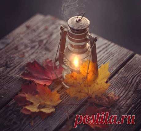 Тёплыми бывают не только чай, перчатки, одеяло. Тёплым бывает всё — разговоры, взгляды, письма, люди. Это то особое ощущение, которое даёт нам силы: Жить. Верить. Мечтать. Любить.