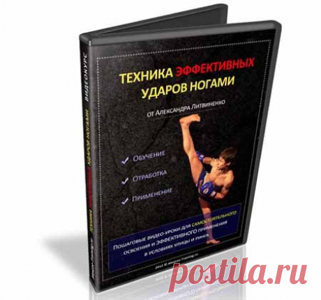 Видео-курс: Техника эффективных ударов НОГАМИ | Партнерские программы интернета