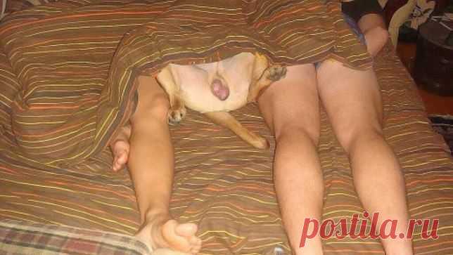 (95) Одноклассники