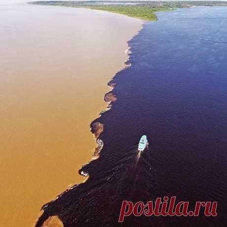 Fly India Tour в Instagram: «#encontrodasaguas #rionegroesolimoes #rionegro #riosolimoes #rioamazonas #nature #river #negroriver #solimoesriver #amazonasriver…» 24 отметок «Нравится», 0 комментариев — Fly India Tour (@flyindiatour) в Instagram: «#encontrodasaguas #rionegroesolimoes #rionegro #riosolimoes #rioamazonas #nature #river #negroriver…»