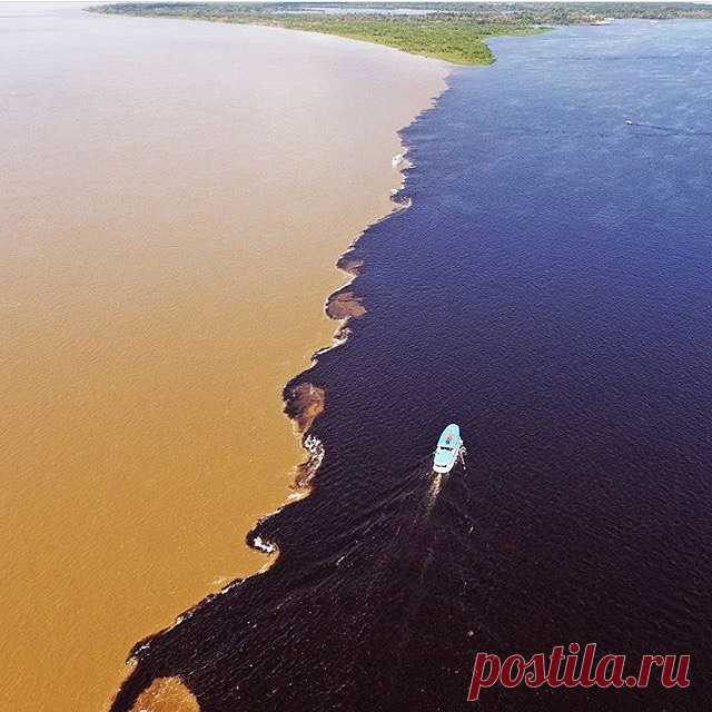 Fly India Tour в Instagram: «#encontrodasaguas #rionegroesolimoes #rionegro #riosolimoes #rioamazonas #nature #river #negroriver #solimoesriver #amazonasriver…» 24 отметок «Нравится», 0 комментариев — Fly India Tour (@flyindiatour) в Instagram: «#encontrodasaguas #rionegroesolimoes #rionegro #riosolimoes #rioamazonas #nature #river #negroriver…»