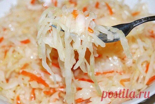 Хозяйке на заметку. Ошибки при квашении капусты