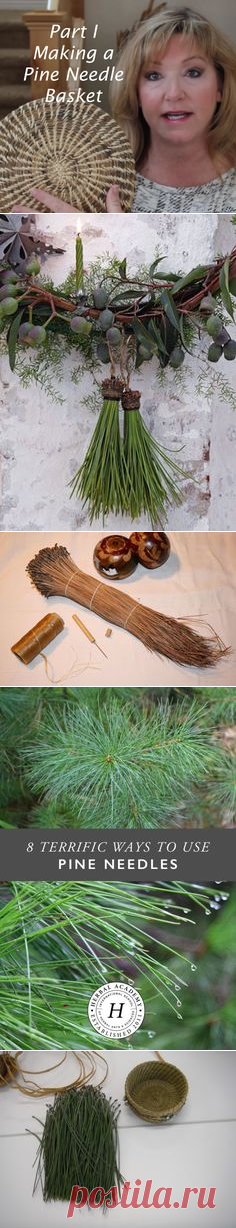 1000+ идей на тему: Pine Needle Crafts в Pinterest