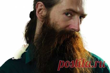 Интервью с Обри де Грэем – могут ли люди жить 1000 лет и больше? Обри де Грэй, английский биомедицинский геронтолог, утверждает, что люди могут жить 1000 лет. Он написал план, как победить биологическое старение.Де Грэй впервые опубликовал исследование, в котором у…