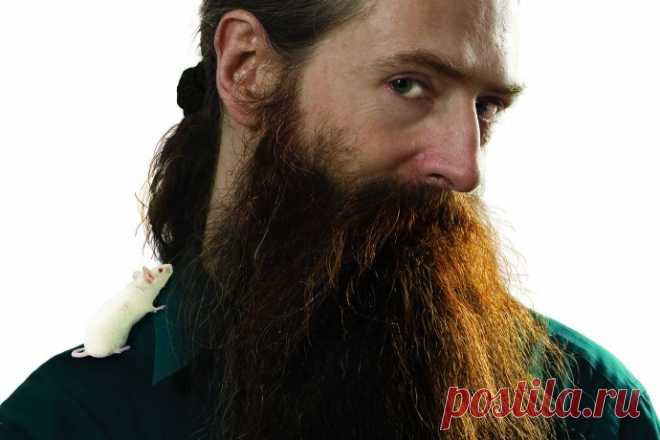 Интервью с Обри де Грэем – могут ли люди жить 1000 лет и больше? Обри де Грэй, английский биомедицинский геронтолог, утверждает, что люди могут жить 1000 лет. Он написал план, как победить биологическое старение.Де Грэй впервые опубликовал исследование, в котором у…