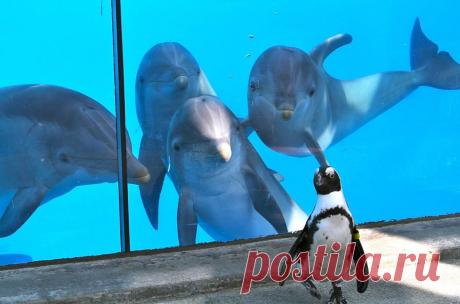 Улыбаемся и машем! / Фото дня / Моя Планета