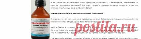 ПОЛЕЗНОСТИ | Записи в рубрике ПОЛЕЗНОСТИ | Дневник Belenaya