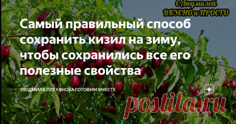 Самый правильный способ сохранить кизил на зиму, чтобы сохранились все его полезные свойства  А вкусно то как получается❗ В этом году небывалый урожай кизила, и даже у нас на даче совсем молоденькие деревья дали отличный урожай. Кизил - это очень полезная, лечебная ягода, ведь в нём содержится витамина C намного больше, чем даже в чёрной смородине.   Поэтому, чтобы сохранить полезные свойства кизила, я запасаю его на зиму в свежем виде.  Для этого способа нужен уже хорошо ...