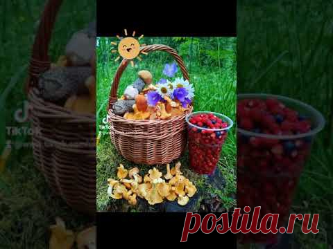 Позитивчик. А ЛЕТО ИДЁТ... И впереди ещё столько солнца и прекрасного... #летоидет
