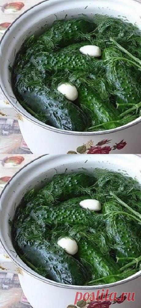 У каждой хозяйки свой рецепт приготовления малосольных огурчиков и каждый хорош по-своему.