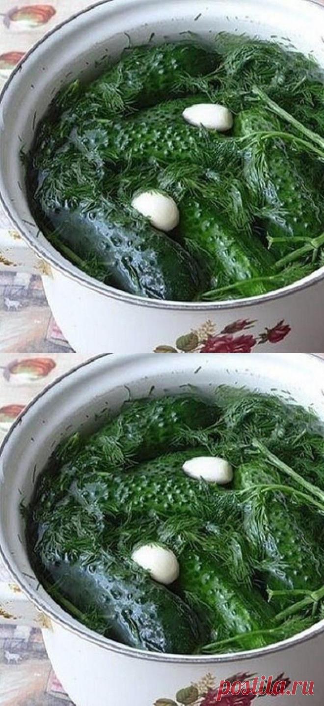 У каждой хозяйки свой рецепт приготовления малосольных огурчиков и каждый хорош по-своему.