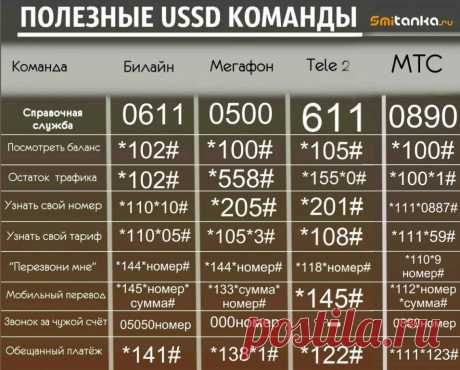 Здоровье. Рецепты. Секреты долголетия