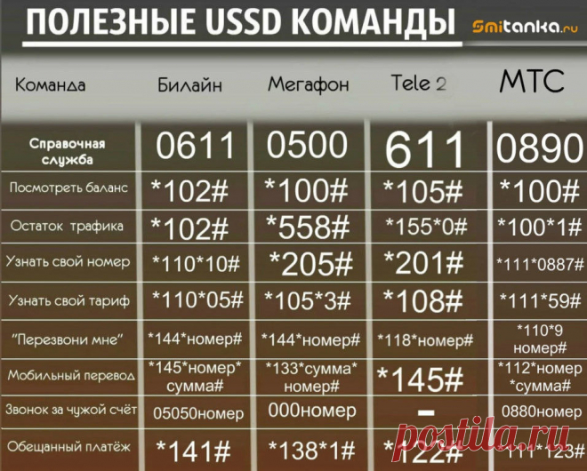 Здоровье. Рецепты. Секреты долголетия
