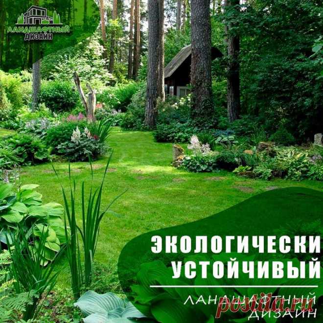 Ландшафтный дизайн озеленение - переходи в тг канал и смотри там больше интересного 🌳 в 2024 г | Ландшафтный дизайн, Дизайн озеленение, Дизайн