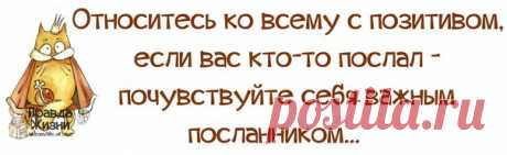 ПРИКОЛЬНЫЕ ФРАЗОЧКИ В КАРТИНКАХ