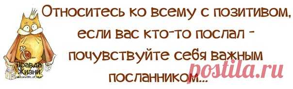 ПРИКОЛЬНЫЕ ФРАЗОЧКИ В КАРТИНКАХ