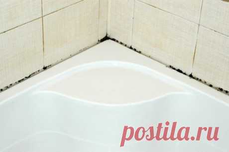 Надоела плесень в ванной? Тогда прочти ЭТО и забудь о плесени НАВСЕГДА! Можно очень долго и безрезультатно бороться с таким гадким явлением, как плесень в ванной. Но есть замечательное средство, которое поможет убрать грибок в два счета! И не придется травить себя и близких ужасной химией…
Удалить плесень, очистить плитку и стены в ванной, убрать черный налет — всё это