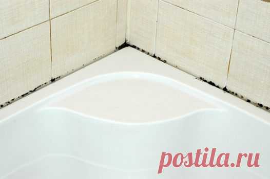 Надоела плесень в ванной? Тогда прочти ЭТО и забудь о плесени НАВСЕГДА! Можно очень долго и безрезультатно бороться с таким гадким явлением, как плесень в ванной. Но есть замечательное средство, которое поможет убрать грибок в два счета! И не придется травить себя и близких ужасной химией…
Удалить плесень, очистить плитку и стены в ванной, убрать черный налет — всё это