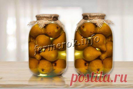 Компот из груш: лучшие проверенные рецепты на зиму