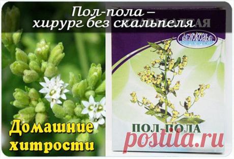 ПОЛ-ПОЛА, ПОДЖЕЛУДОЧНАЯ