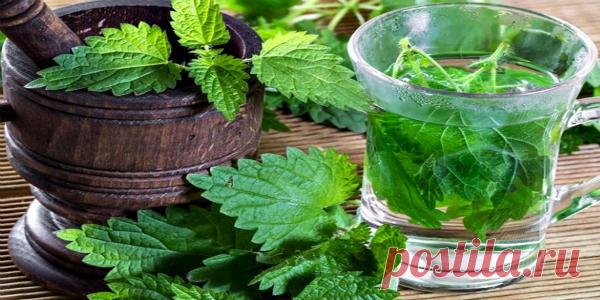 Крапива с простоквашей от высокого уровня сахара в крови 🔸 Когда люди сталкиваются с проблемой повышенного сахара, то они испытывают шок. Повышенный сахар - это предвестник многих заболеваний. Поэтому нужно снижать уровень сахара любыми методами. Самым эффективным методом является применение лекарственных препаратов. Но многие