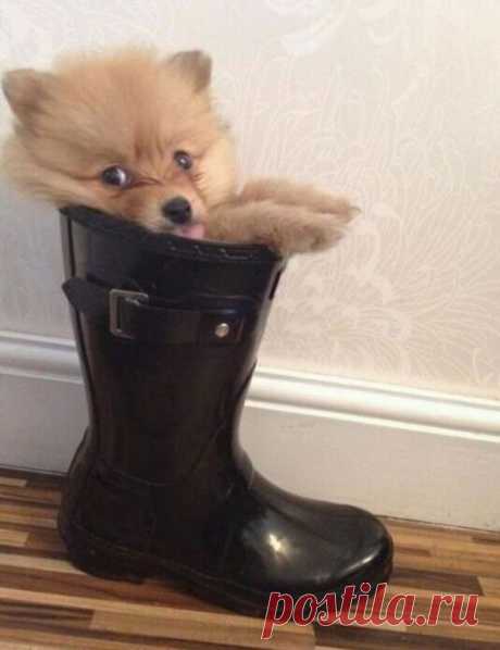 Вдохновение