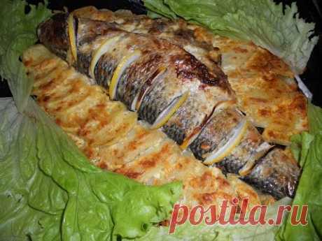 Фаршированный пеленгас, запечённый в духовке!
