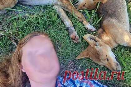 Туристки сделали селфи с дикими собаками и заплатили штраф 130 тысяч рублей. Туристкам в Австралии пришлось заплатить более 1500 долларов (более 130 тысяч рублей) штрафа после того, как они сделали селфи с дикими собаками динго. Об этом сообщает сайт телеканала CNN. Местные власти объяснили такую суровую меру наказания тем, что путешественницы подвергли себя чрезвычайной опасности.