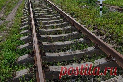 Захарова сыронизировала над Латвией из-за желания разобрать железную дорогу до России