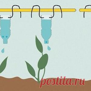 Устраиваем растениям капельный полив.Простые способы обеспечить рассаду в...