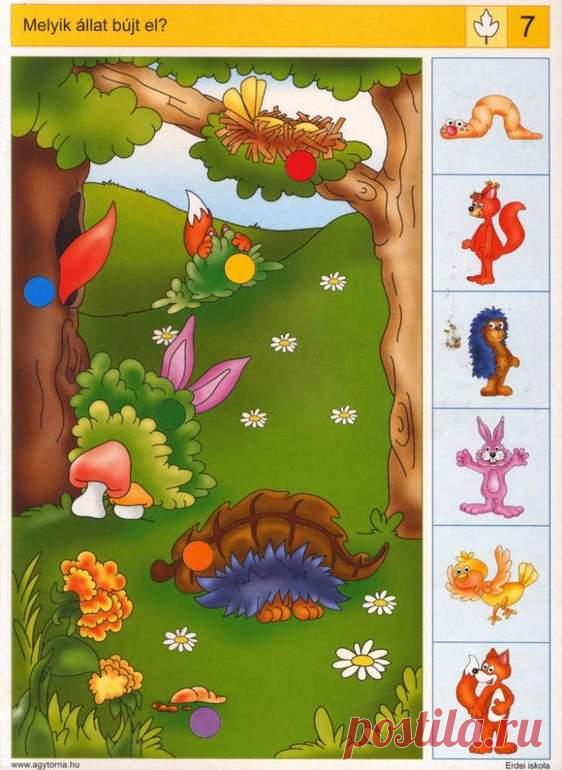 kartochki-s-zadaniyami - запись пользователя Ксения (Jimmie) в сообществе Игры с детьми в категории Копилка материалов для игр (ссылки на сайты где можно распечатать раскраски, скачать пособия, карточ - Babyblog.ru