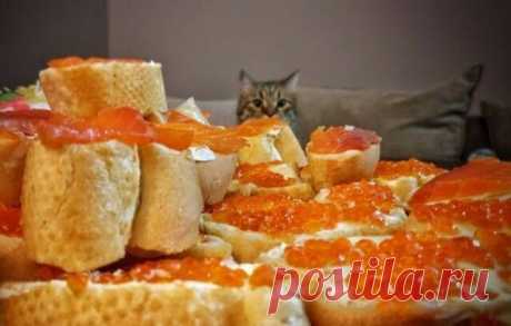 Малыши для души — Фото | OK.RU